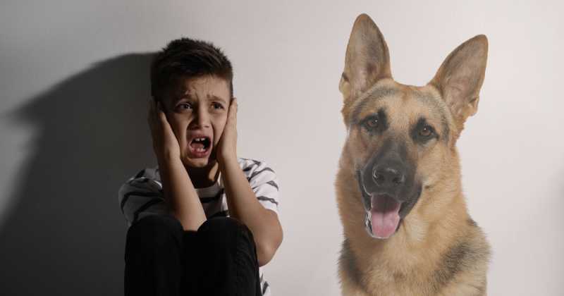 Cynophobia Unleashed: Conquering the Fear of Fido