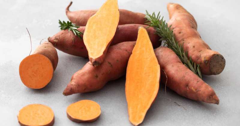 Sweet Potato Benefits