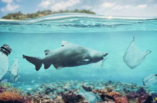 impact of plastic on environment