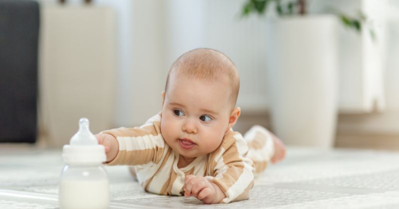 Baby Formula Milk Pros and Cons